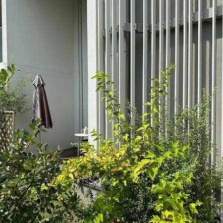 Cosy Splendor / Center Graz