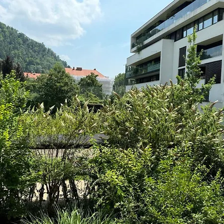 Cosy Splendor / Center *