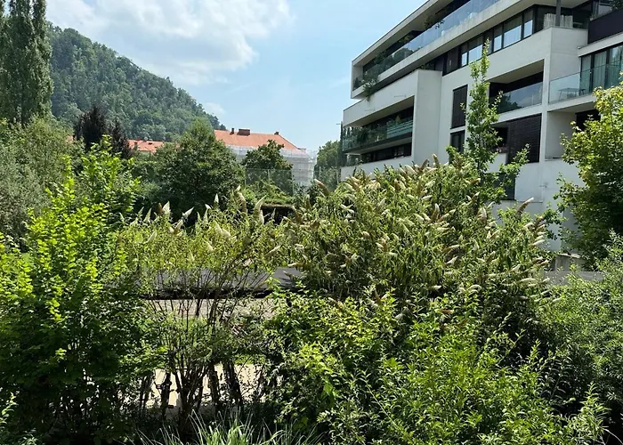 Cosy Splendor / Center *