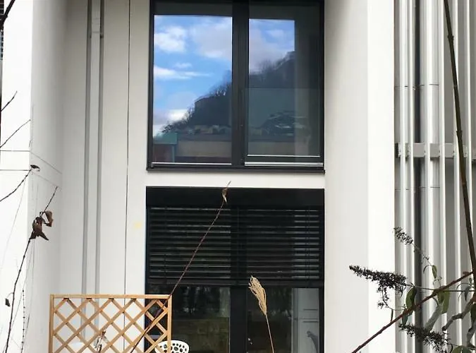 Cosy Splendor / Center *